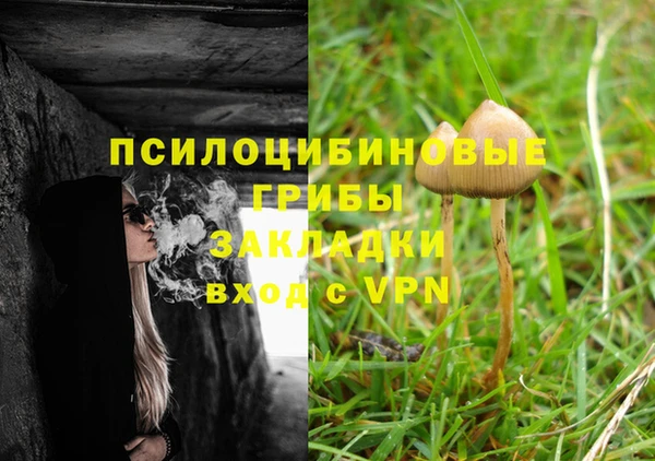 мяу мяу мука Верхнеуральск