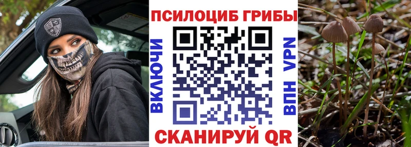 Галлюциногенные грибы Psilocybine cubensis  Реутов 