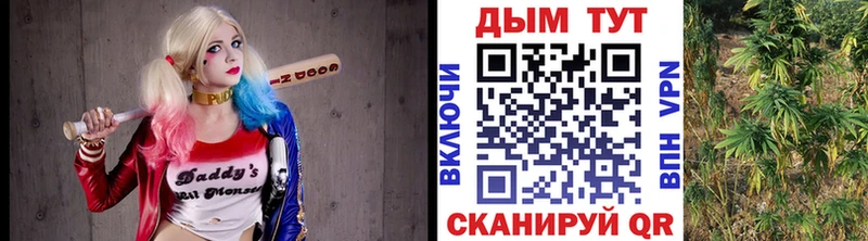 Марихуана семена  Реутов 